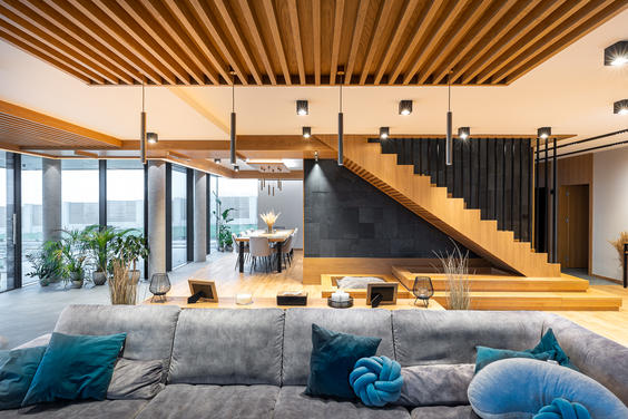 A modern interior inspired by nature